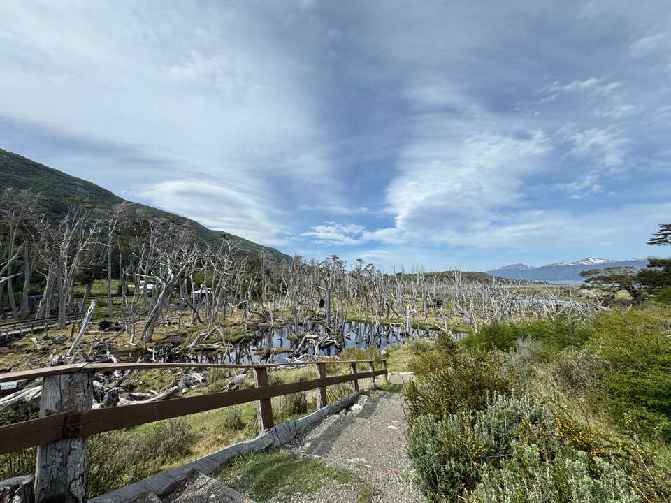 5-day Ushuaia Penguin Season Tour (from October To March), French Or German-speaking Guide - Destination Services - Argentina - Image 8
