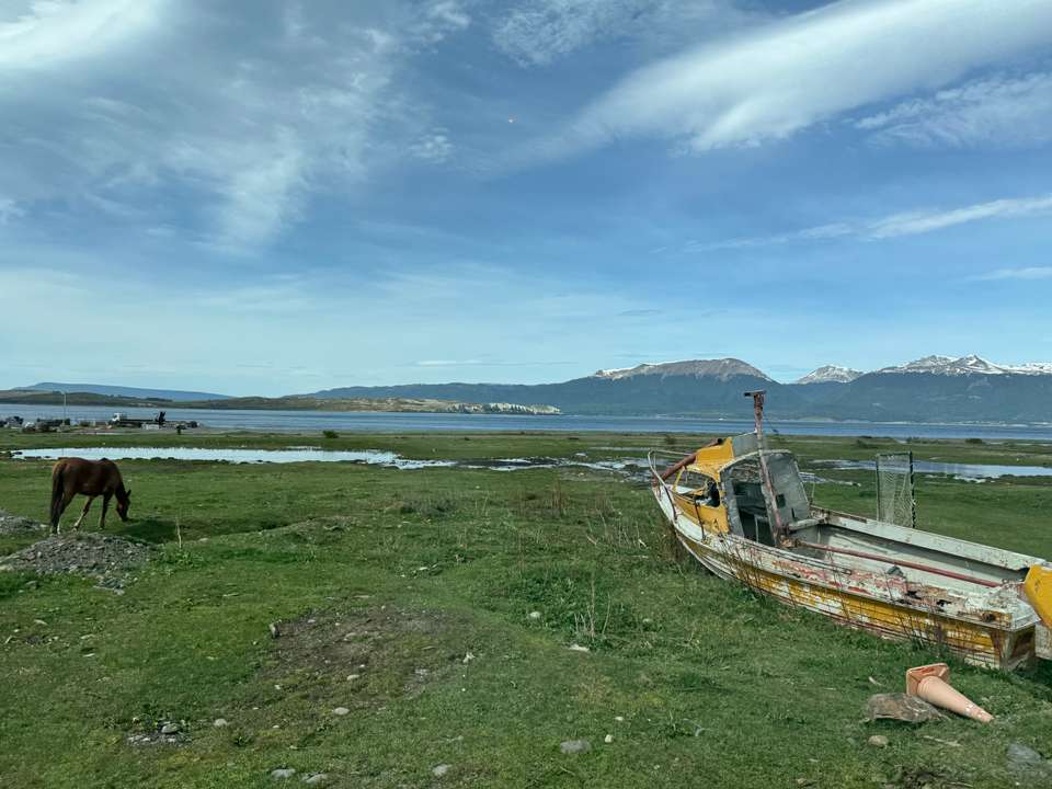 5-day Ushuaia Penguin Season Tour (from October To March), French Or German-speaking Guide - Destination Services - Argentina - Image 7
