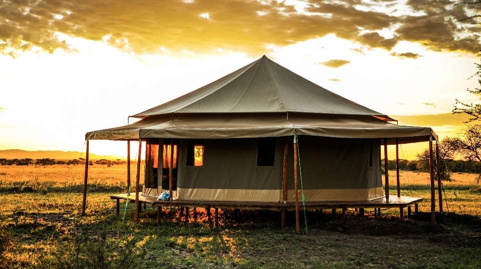 5 Days BIG FIVE Safaris in Tanzania - Lights On Africa Destinations & Safaris - Tanzania