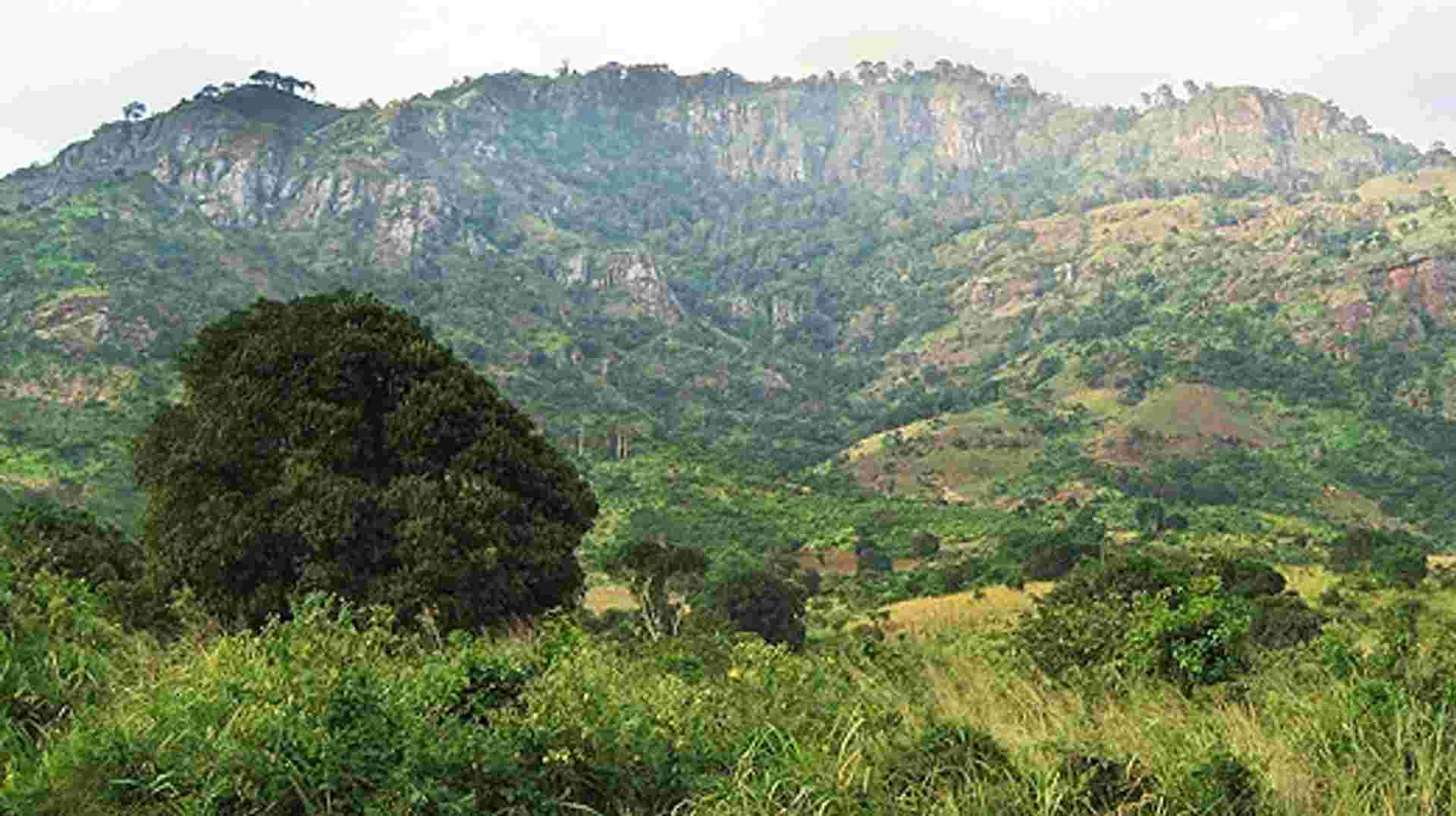 5 Days Mount Usambara Trekking