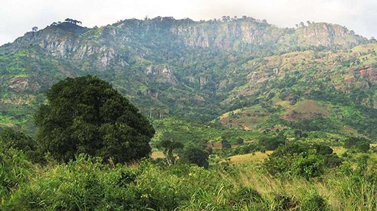 5 Days Mount Usambara Trekking trip - alternative tour available