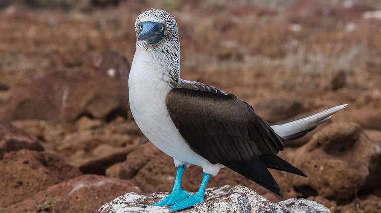 YACHT LA PINTA ORIGIN OF SPECIES ADVENTURE (Mon - Fri) trip - alternative tour available