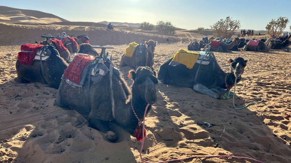 5 Days Sahara Desert Tour from Marrakech - Guided Morocco Tours - Morocco - Image 3