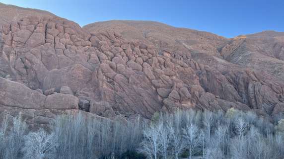 Image 4 of 6