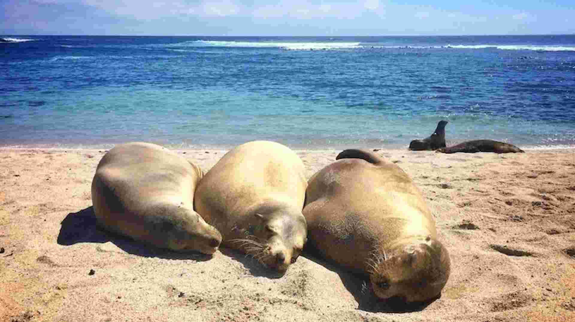 5 Days San Cristobal Island Wonders