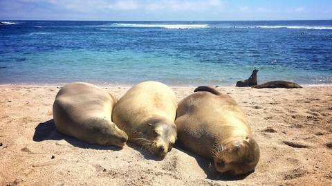 5 Days San Cristobal Island Wonders - September 2027