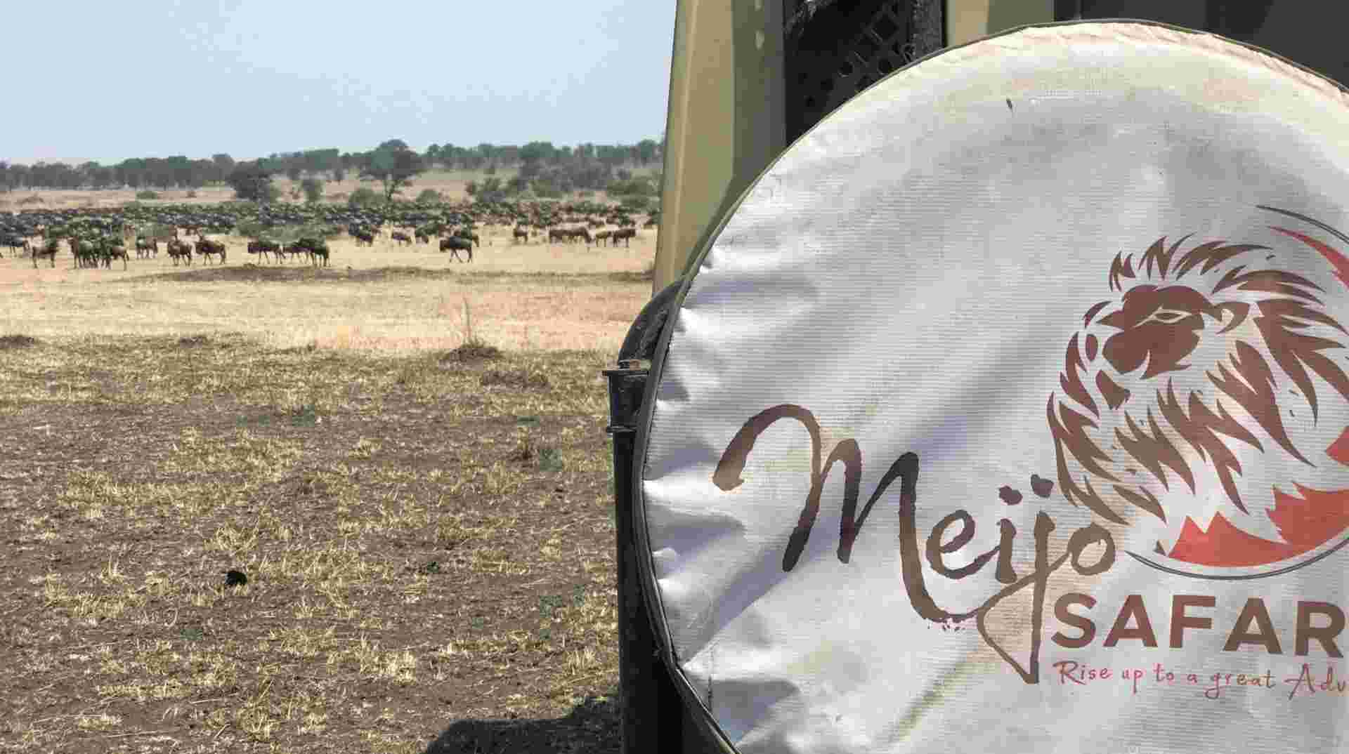5 Days Wildebeest Migration Safari in Tanzani