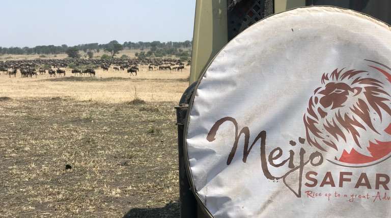 5 Days Wildebeest Migration Safari in Tanzani trip - alternative tour available