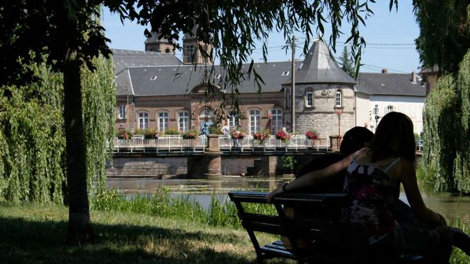5 Different Rivers: The Rhine, Neckar, Main, Moselle, and Saar - Tweet World Travel - France - Image 7