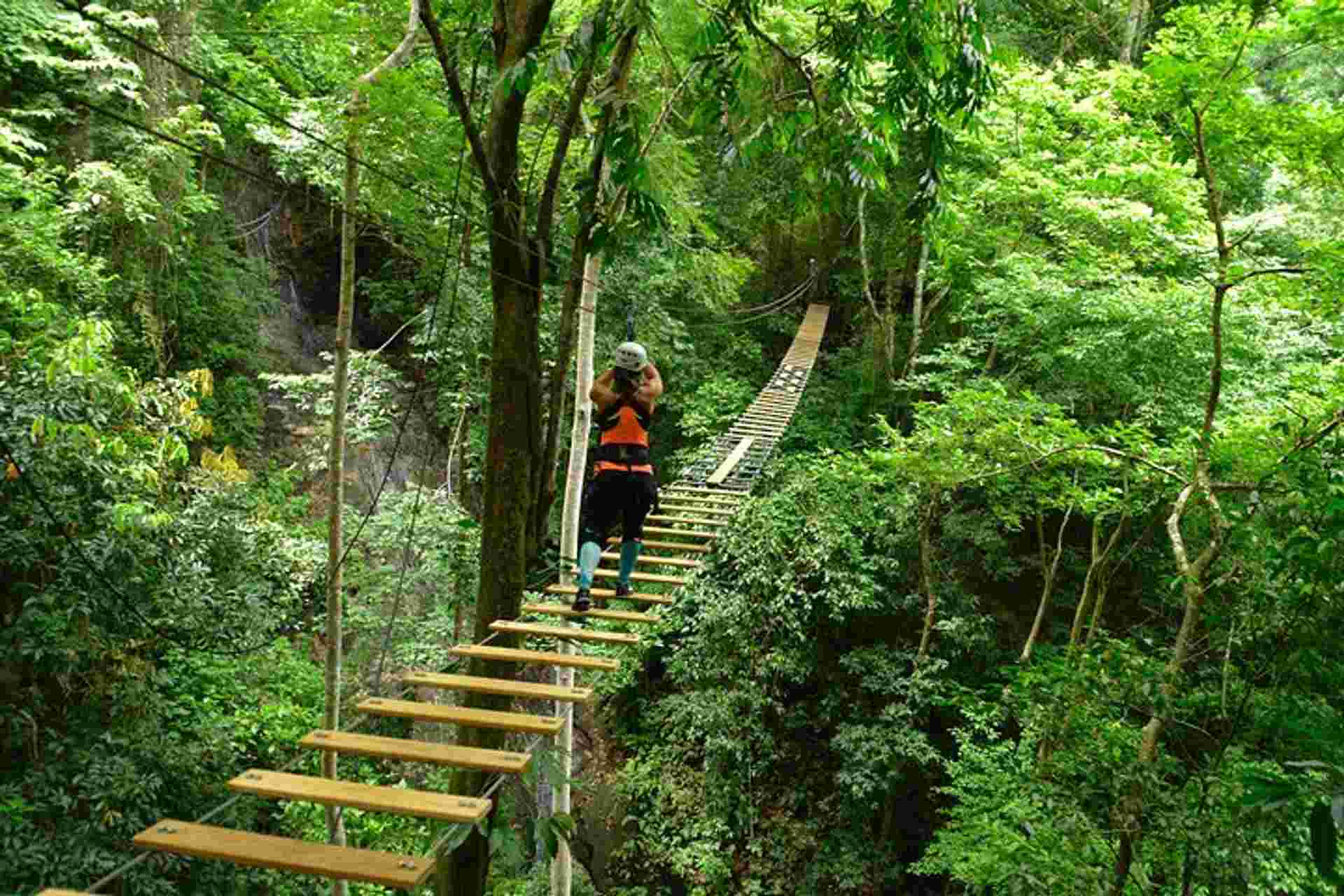 5 In 1 Adrenaline Junkie From Jacó