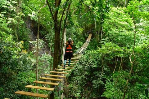 Costa Rica Bus Tour: 5 In 1 Adrenaline Junkie From Jacó