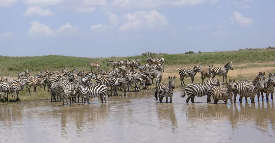 5N/6D Northern Safari Circuit - Authentic Camping Safari - Across Africa Nature - Tanzania - Image 2