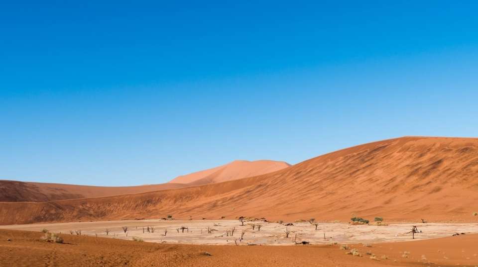 6 Day Dunes and Wildlife Lodging Safari - Chameleon Safaris Namibia - Namibia - Image 10