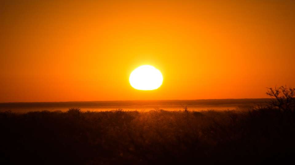 6 Day Dunes and Wildlife Lodging Safari - Chameleon Safaris Namibia - Namibia - Image 16