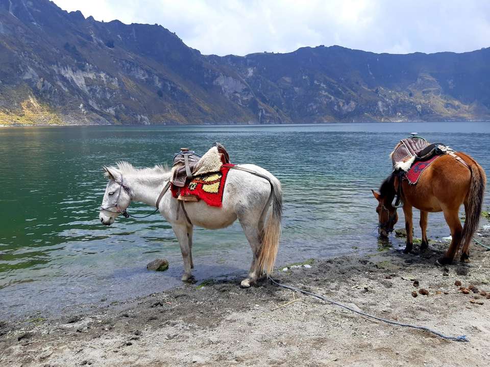 6-day Ecuador Highlands: Cotopaxi, Quilotoa, Ingapirca & Cuenca, Private Tour, French-speaking Guide - Destination Services - Ecuador - Image 9