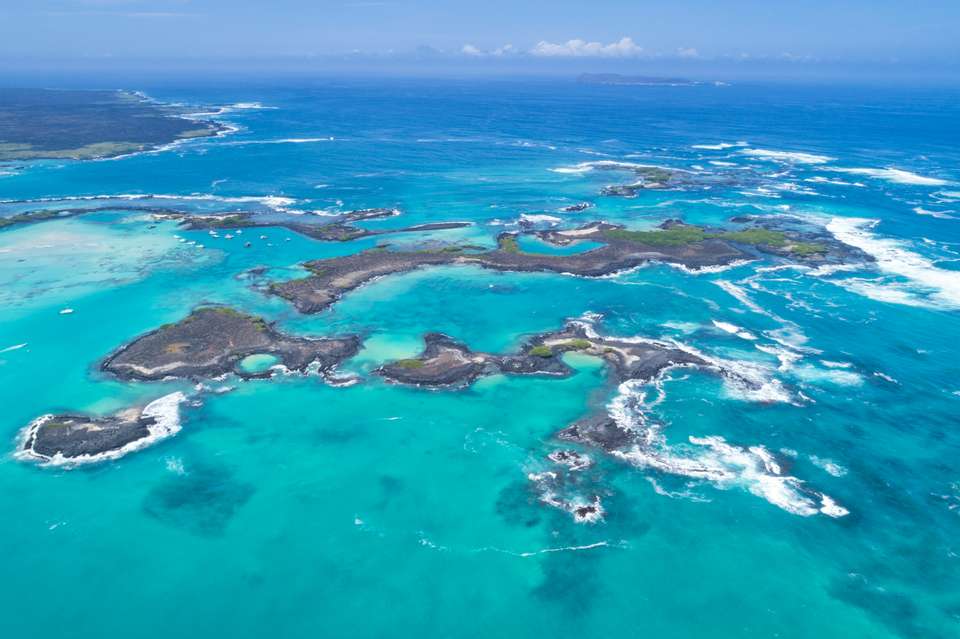 6-day Galápagos Escape: Volcano Trails & Wildlife Encounters - Destination Services - Ecuador - Image 12