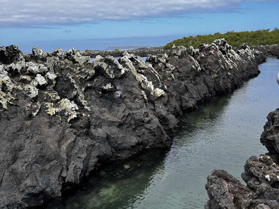 6-day Galápagos Escape: Volcano Trails & Wildlife Encounters - Destination Services - Ecuador - Image 2