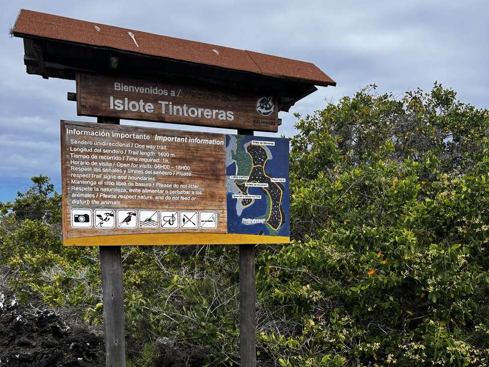 6-day Galápagos Escape: Volcano Trails & Wildlife Encounters - Destination Services - Ecuador - Image 8
