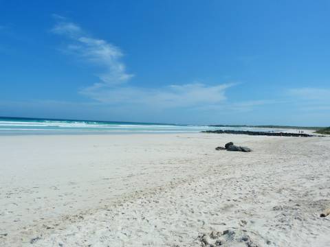 6-day Galapagos Escape: Volcano Trails & Wildlife Encounters, French-speaking Guide - January 2027