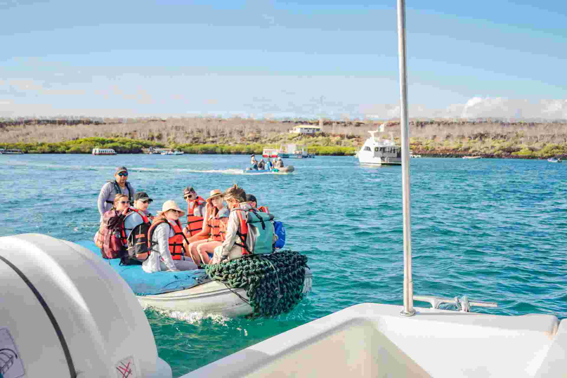 6-day Galapagos Escape: Volcano Trails & Wildlife Encounters, French-speaking Guide