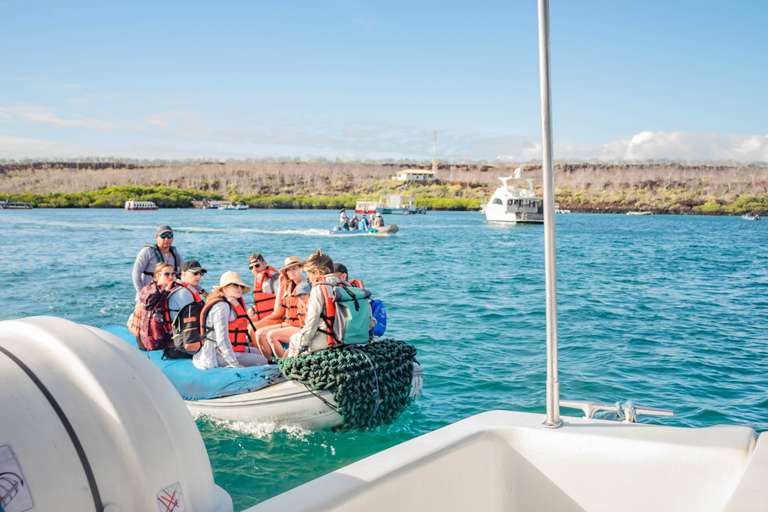 Ecuador Active and outdoor Tour: 6-day Galapagos Escape: Volcano Trails & Wildlife Encounters, French-speaking Guide