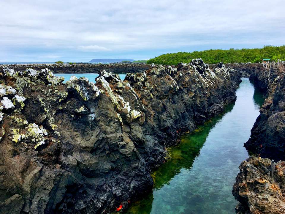 6-day Galapagos Escape: Volcano Trails & Wildlife Encounters, French-speaking Guide - Destination Services - Ecuador - Image 12