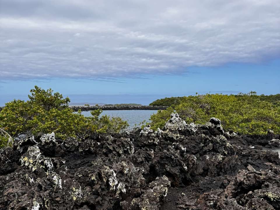 6-day Galapagos Escape: Volcano Trails & Wildlife Encounters, French-speaking Guide - Destination Services - Ecuador - Image 9
