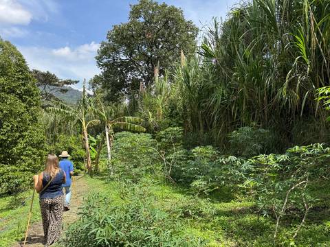 6-day Medellín Coffee Experience, Private Tour, French-speaking Guide - March 2027
