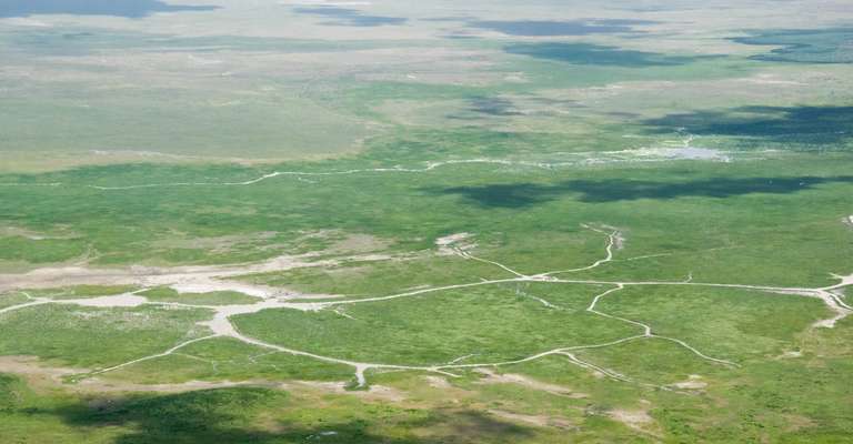 6 Day Safari: Tarangire, Manyara, Serengeti, Ngorongoro trip - alternative tour available