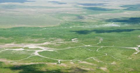 6 Day Safari: Tarangire, Manyara, Serengeti, Ngorongoro - June 2027