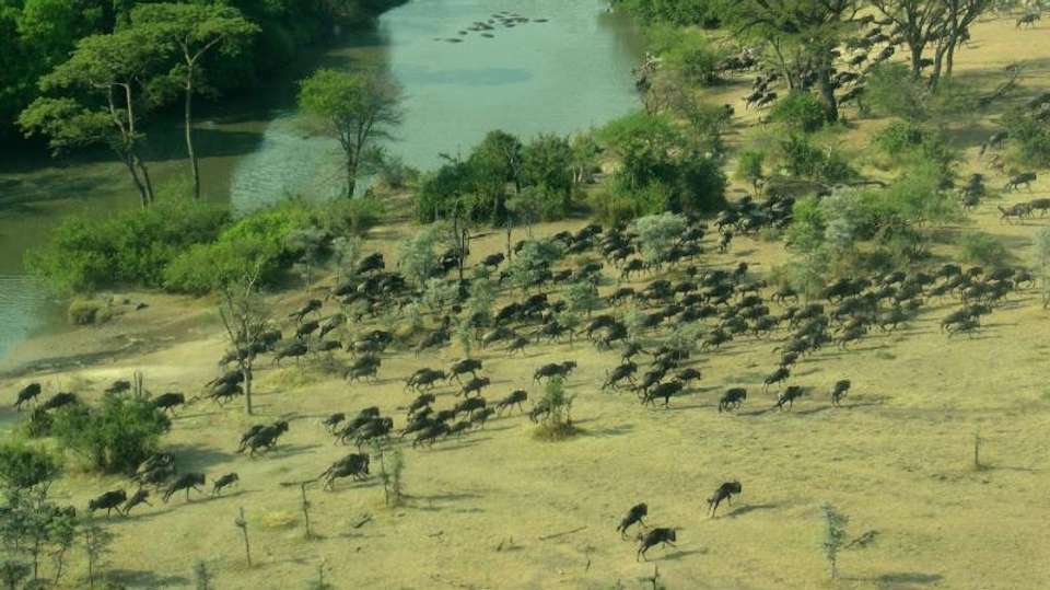 6-Day Tanzania Safari - Dahlia Africa - Tanzania - Image 2