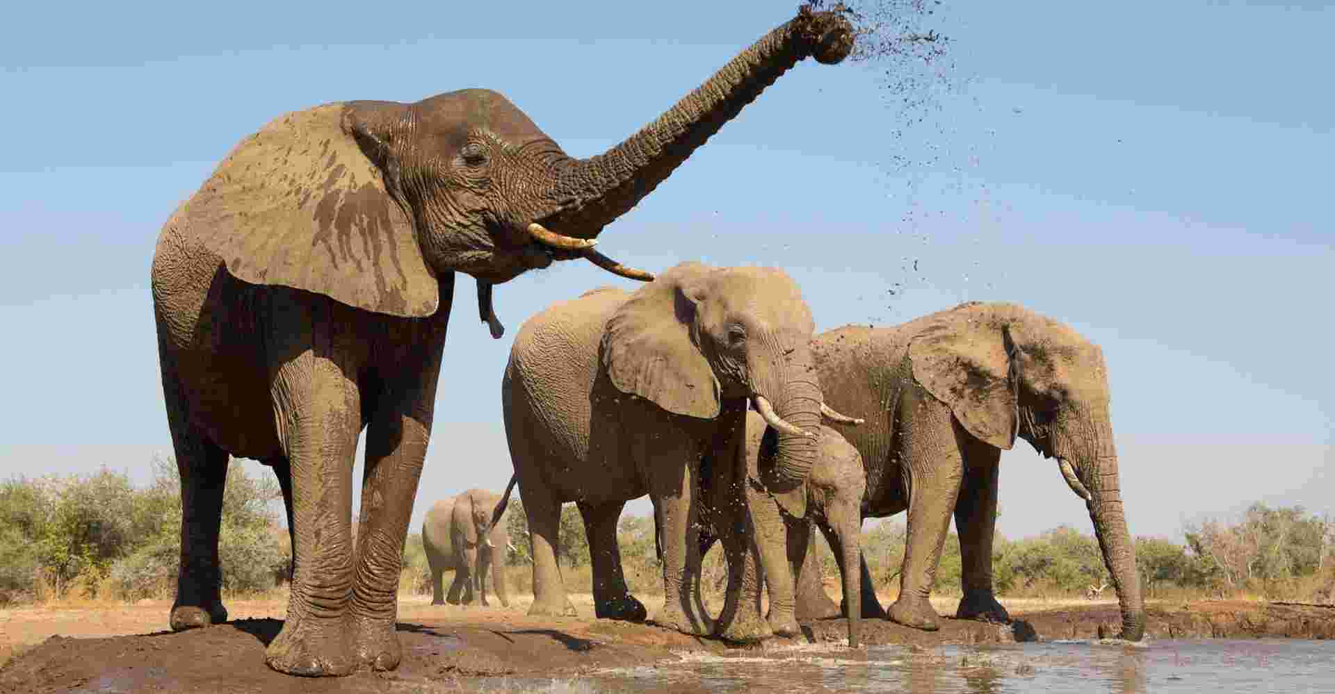 6-day Uganda Wildlife Safari Tour 