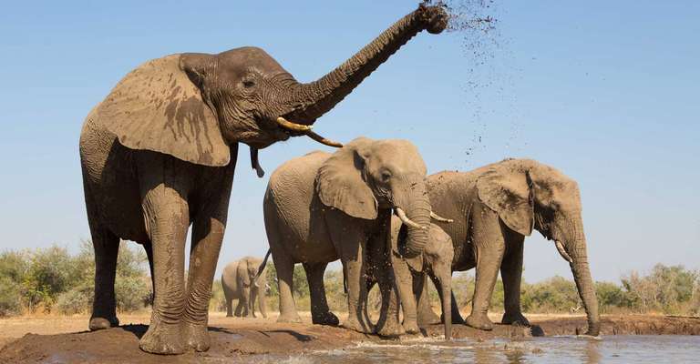 6-day Uganda Wildlife Safari Tour  - April 2027
