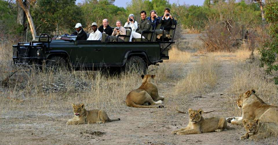 6-day Uganda Wildlife Safari Tour  - Mak Global Consults Tours & Travel - Uganda - Image 4