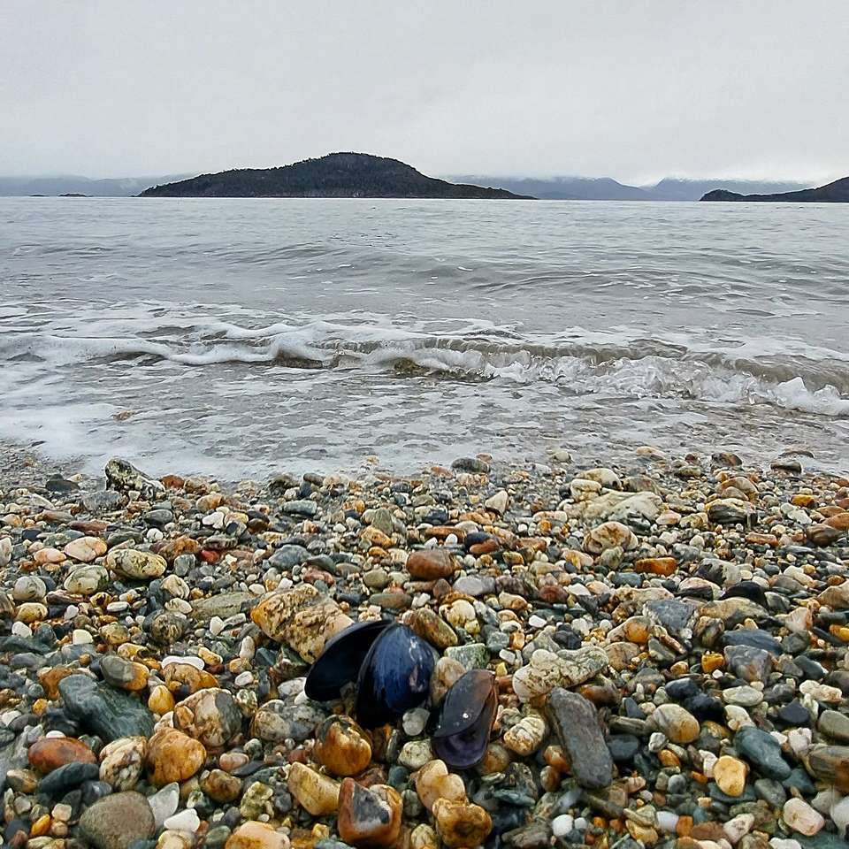 6-day Ushuaia Soft Adventure, French Or German-speaking Guide - Destination Services - Argentina - Image 3
