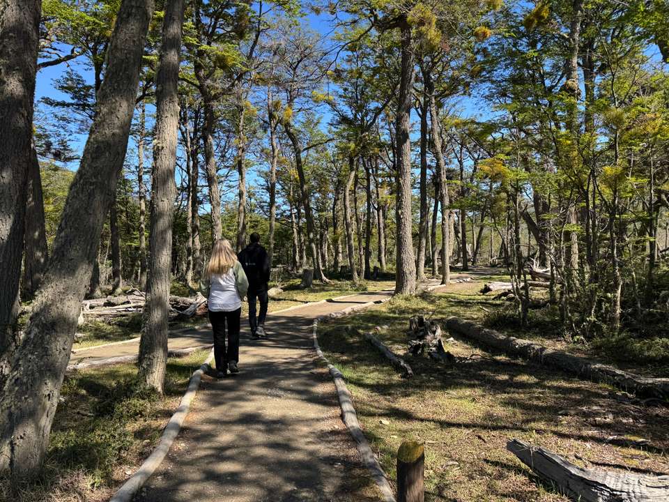 6-day Ushuaia Soft Adventure, French Or German-speaking Guide - Destination Services - Argentina - Image 10