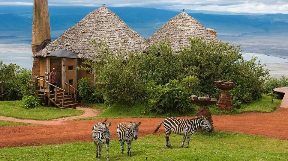 6-DAY WILDEBEEST MIGRATION SAFARI - Dahlia Africa - Tanzania - Image 3