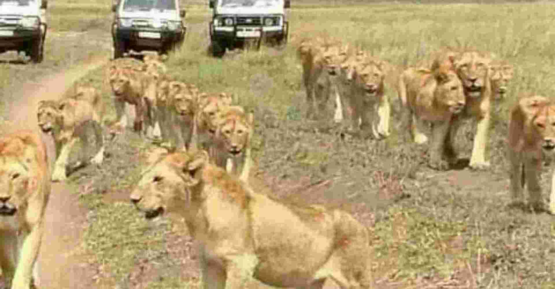 6 Days Budget Camping Safari Group Joining