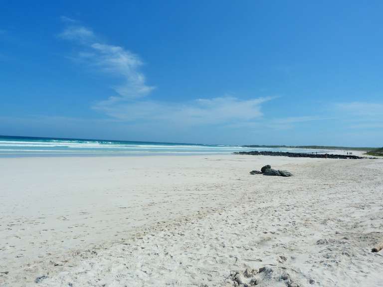 Ecuador Tours for Senior Citizens: 6 Days Galápagos Escape: Volcano Trails & Wildlife Encounters
