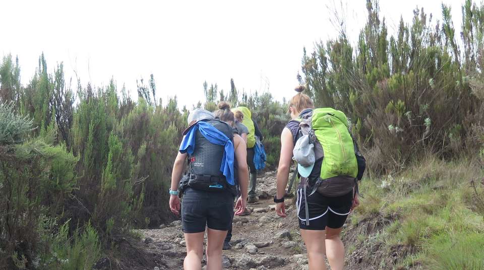 6-Days Kilimanjaro Machame Route - Meijo Safaris - Tanzania - Image 3