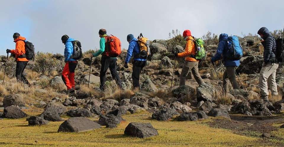6 Days Mt. Kilimanjaro Climbing + 2 Nights Stay - Avocet Tanzania Safaris Ltd - Tanzania - Image 3