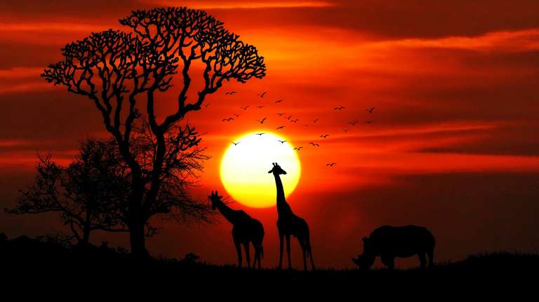 6 Days Naivasha, Nakuru, Masai Mara safari trip - alternative tour available