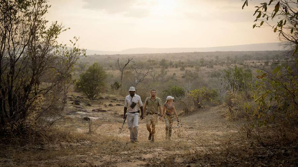 6 Days Safari - Nyerere's Park & Mikumi Safari - Bush 2 City Adventure - Tanzania - Image 3