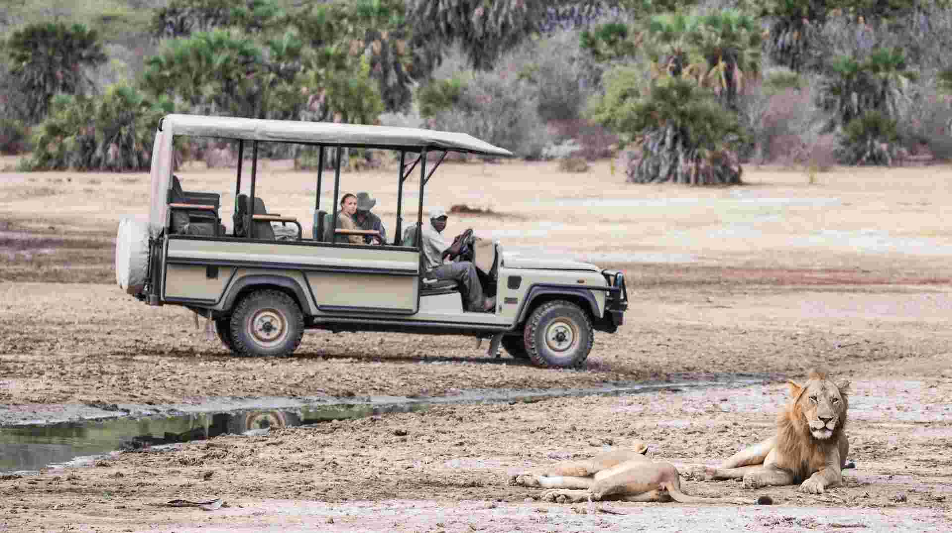 6 Days Safari - Mikumi National Park & Selous