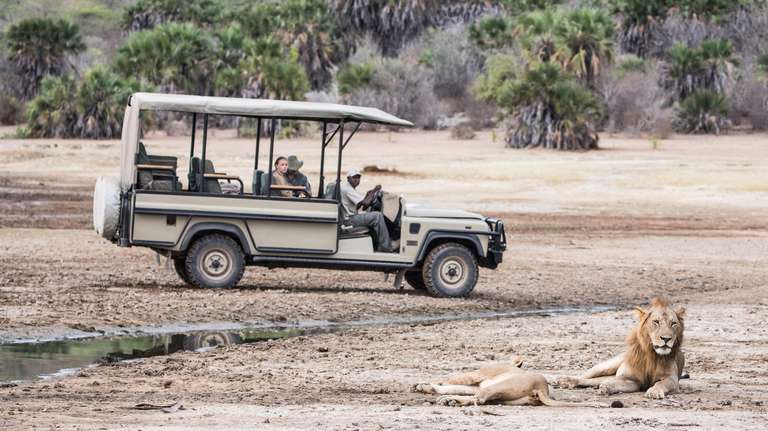 6 Days Safari - Mikumi National Park & Selous trip - alternative tour available