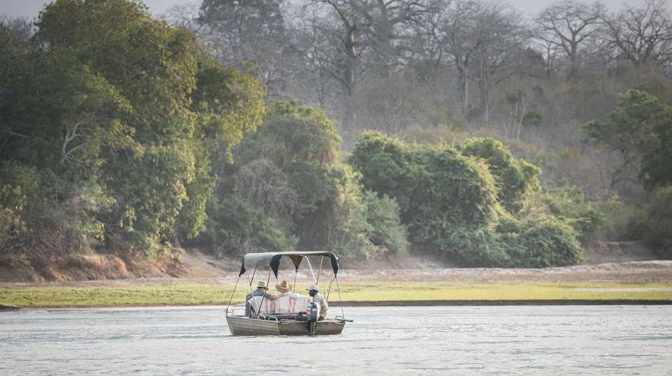 6 Days Safari - Nyerere's Park & Mikumi Safari - Bush 2 City Adventure - Tanzania - Image 22