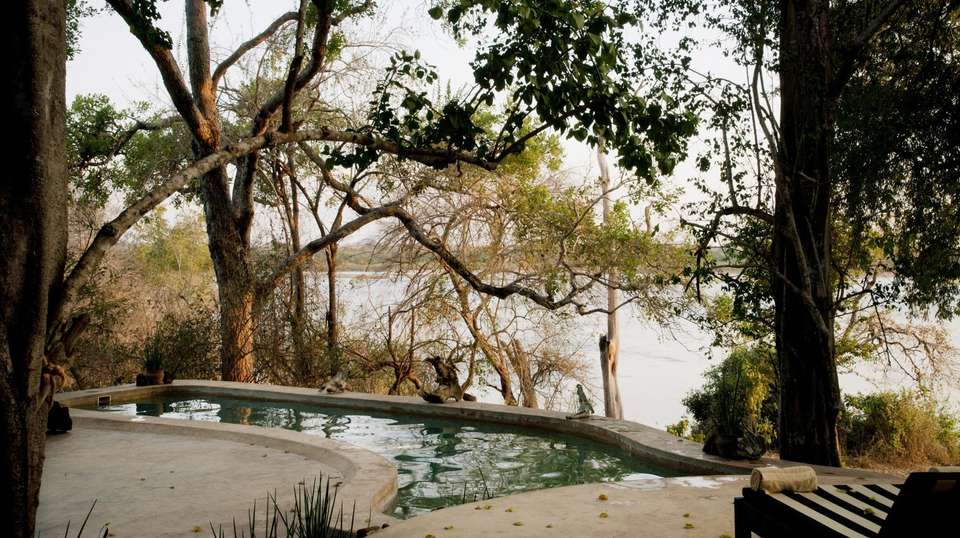 6 Days Safari - Nyerere's Park & Mikumi Safari - Bush 2 City Adventure - Tanzania - Image 20