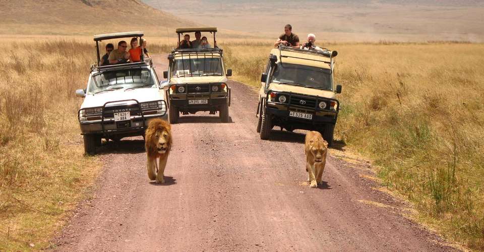 6 Days Safari - Tarangire,Serengeti,Ngorongoro & Manyara - Enosa Expeditions - Tanzania - Image 2