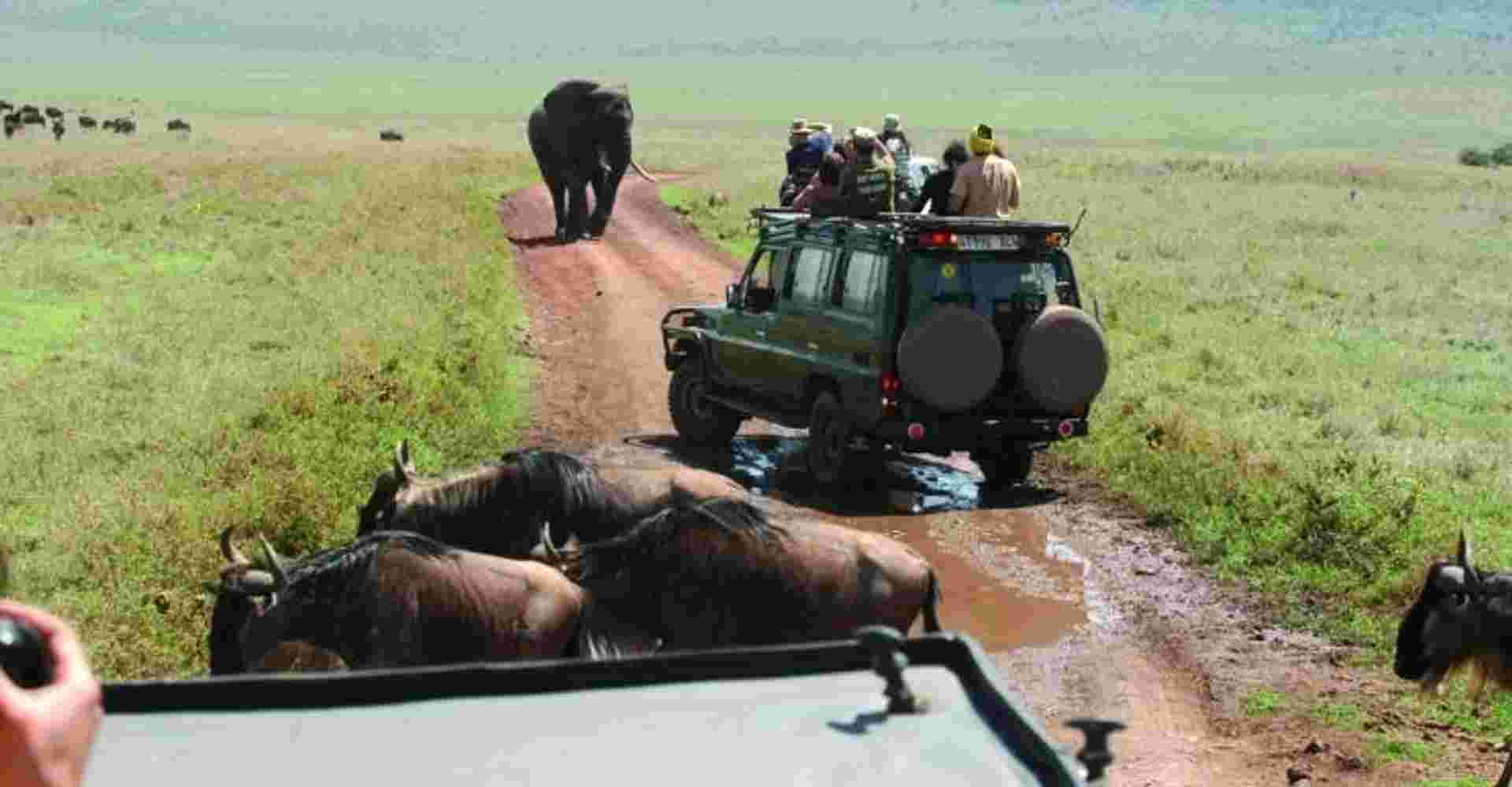6 Days Safari - Tarangire,Serengeti,Ngorongoro & Manyara