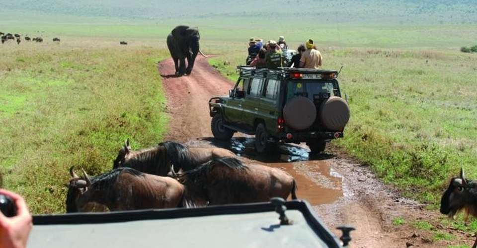 6 Days Safari - Tarangire,Serengeti,Ngorongoro & Manyara - Enosa Expeditions - Tanzania - Image 1